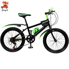 Bicicletta da bambino 20