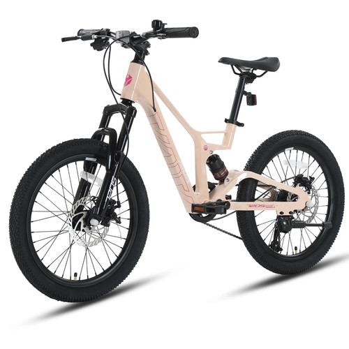 Aiva mountain bike - aiva, 20