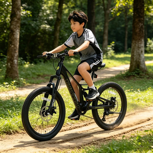 Bicicletta per bambini aiva - bambini,